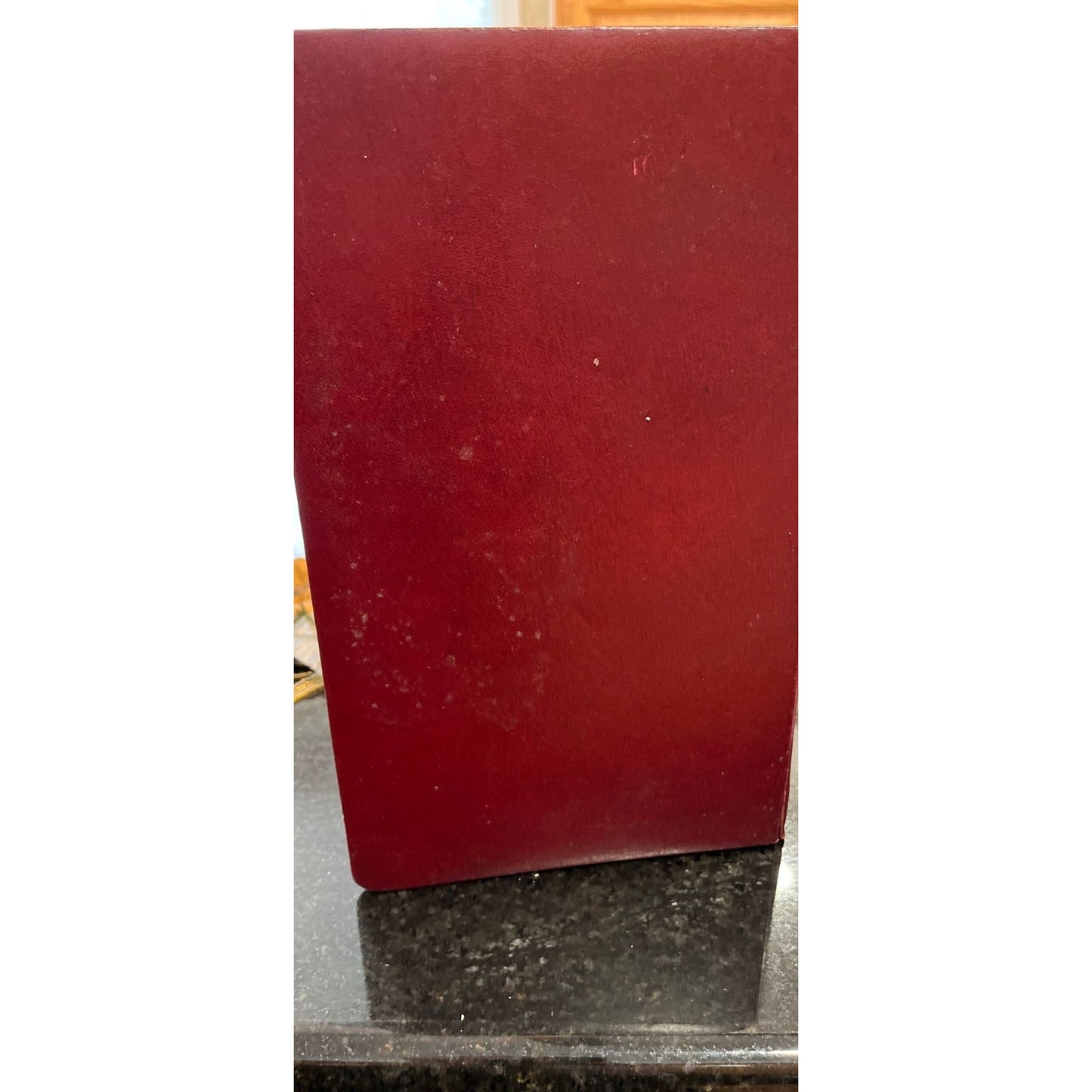 Vtg Lakewood Shores Oscoda, Michigan Poster Double Sided 1960's Map & Sailboat Golf Country Club Up North