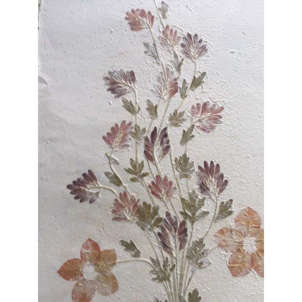 Pressed Flower Composition Signed '"Tavaria" St. Paul de Vence On Hand Made Paper Orange Flowers