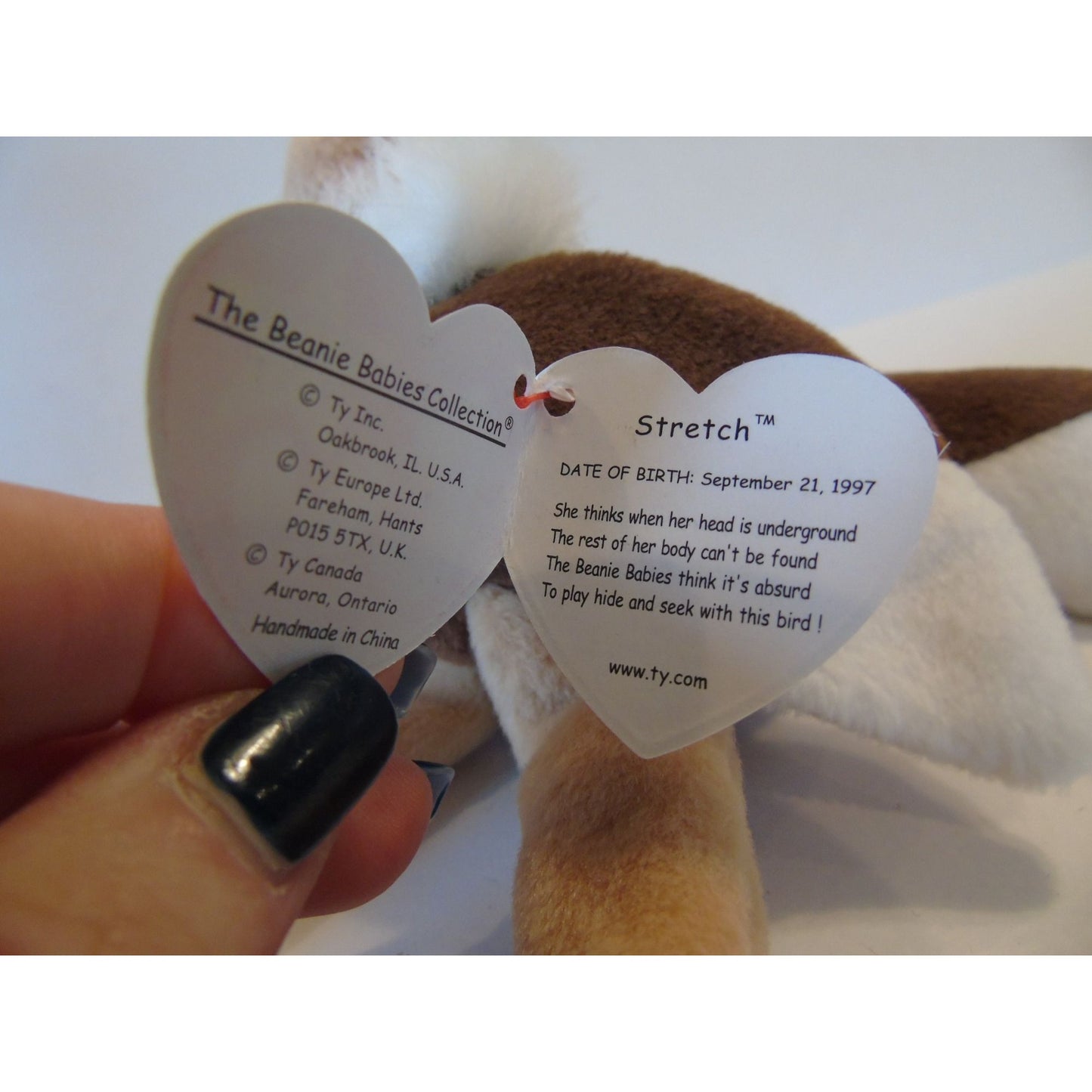 Ty Beanie Babies Stretch The Ostrich Birth Date September 21, 1997 No Style Number