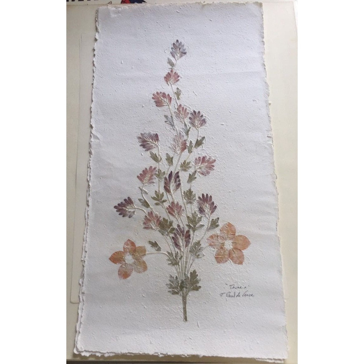 Pressed Flower Composition Signed '"Tavaria" St. Paul de Vence On Hand Made Paper Orange Flowers