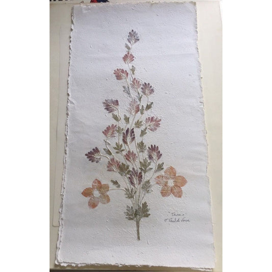 Pressed Flower Composition Signed '"Tavaria" St. Paul de Vence On Hand Made Paper Orange Flowers