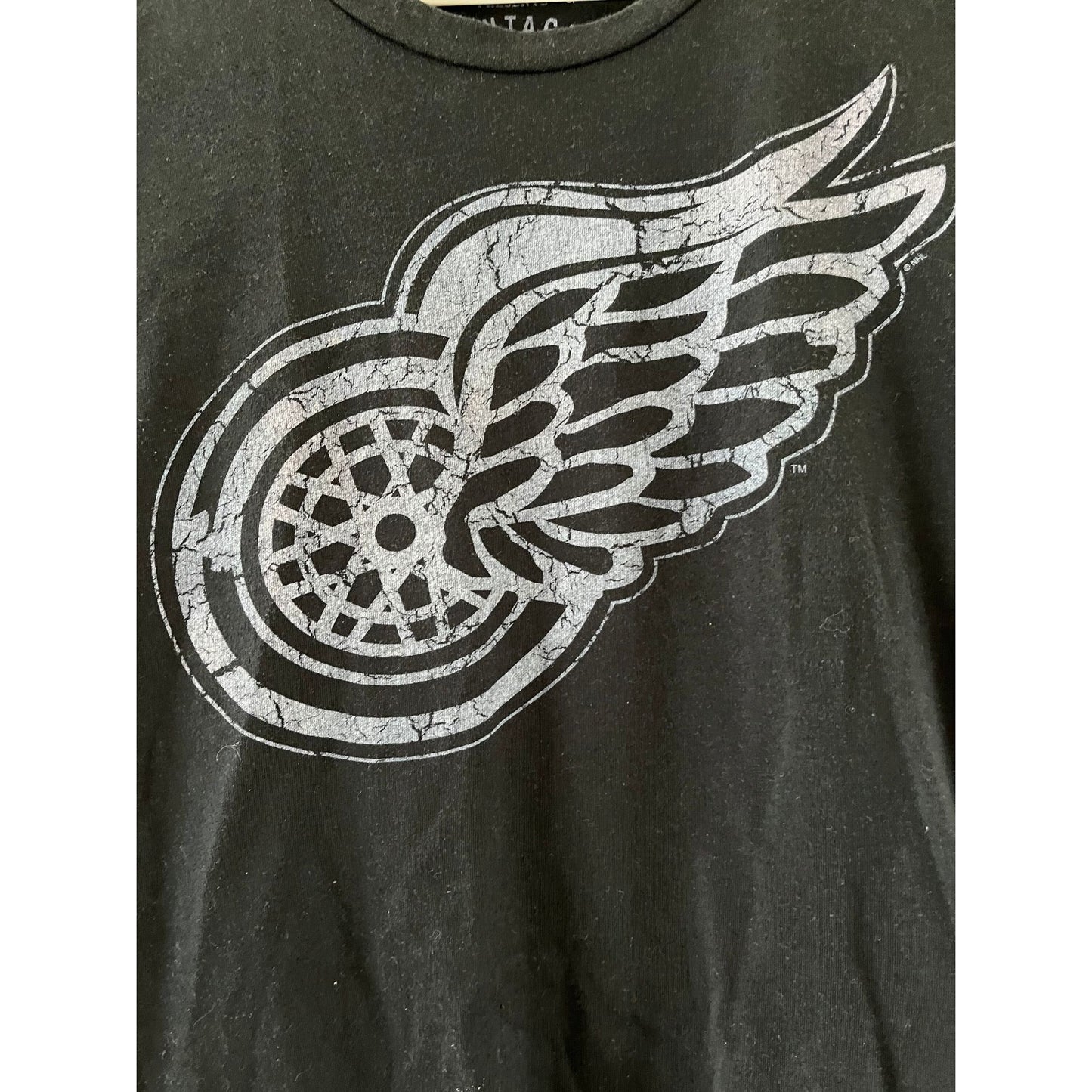 Vtg Women's Detroit Red Wings Hockey Black T-Shirt 1931 National Anthem Presents Vintage NHL Hockey M