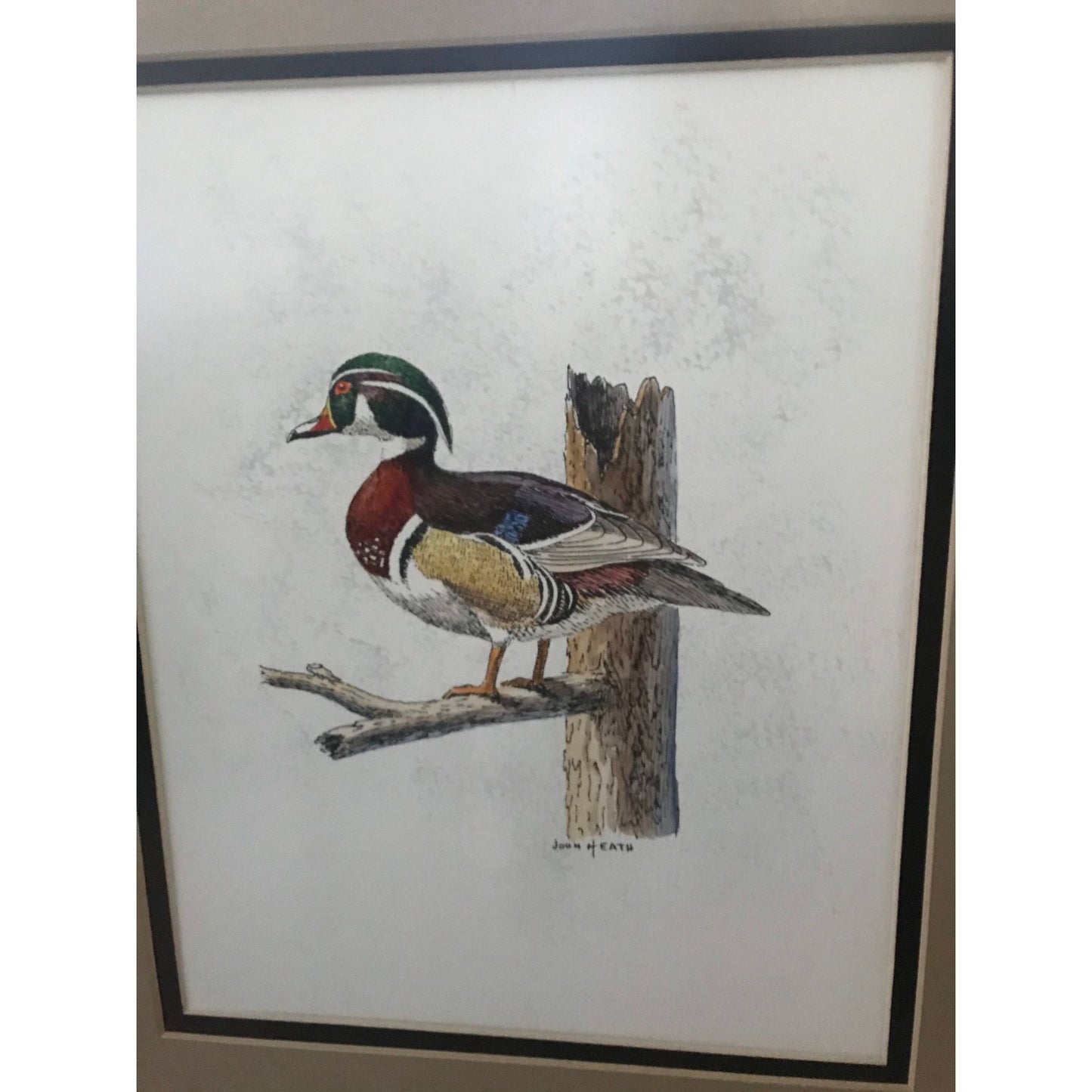 Vtg John Heath Michigan Artist "Wood Duck" Framed 1970's