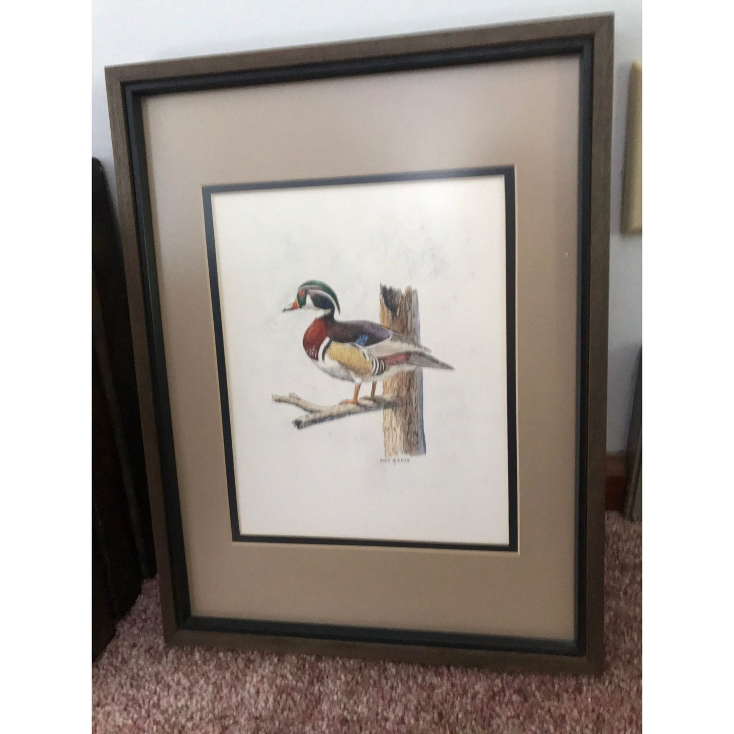 Vtg John Heath Michigan Artist "Wood Duck" Framed 1970's