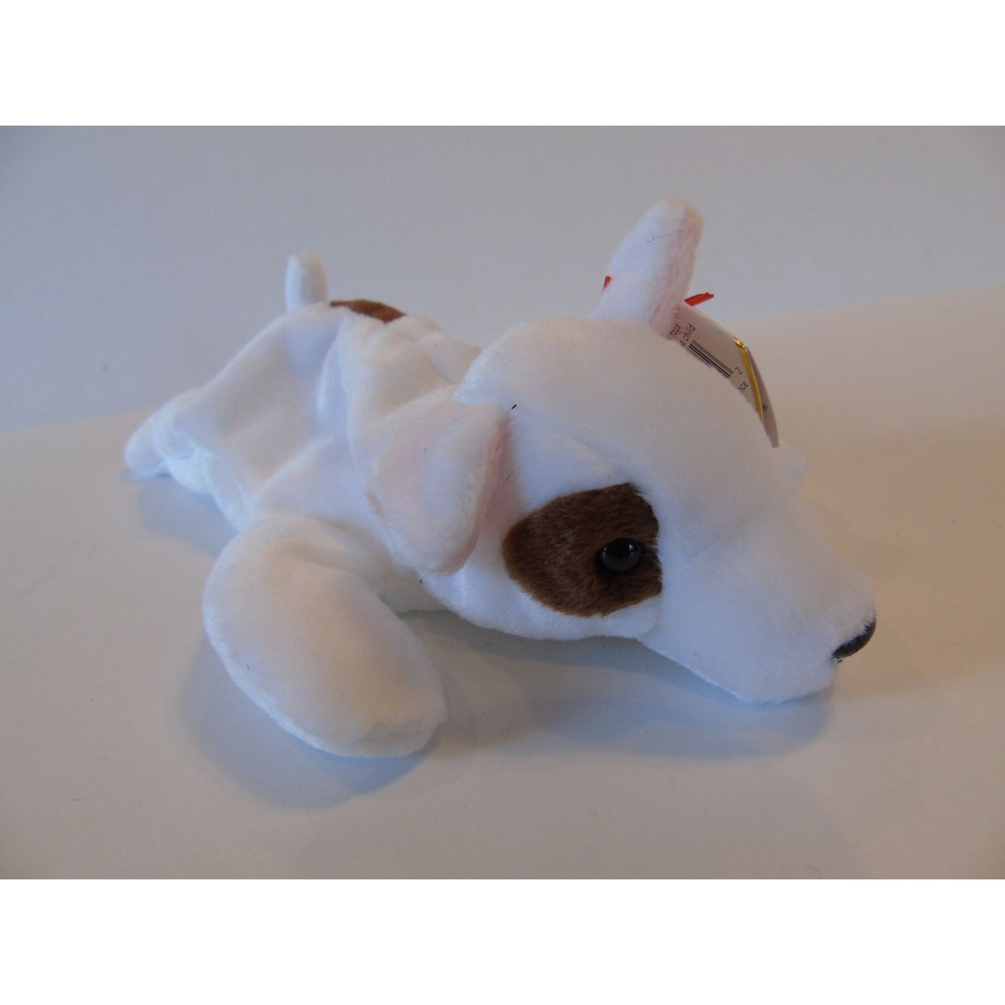 Ty Beanie Babies Butch The Dog Birth Date October 2, 1998 No Style Number