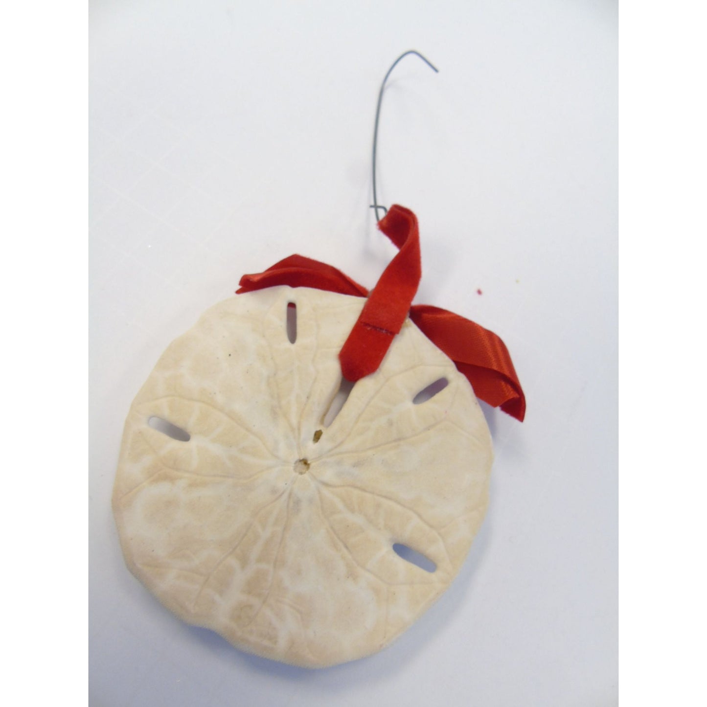 Vintage 1970's Ron Vick Christmas Candy Cane Sand Dollar Ornament Hand Painted & Signed By The Artist