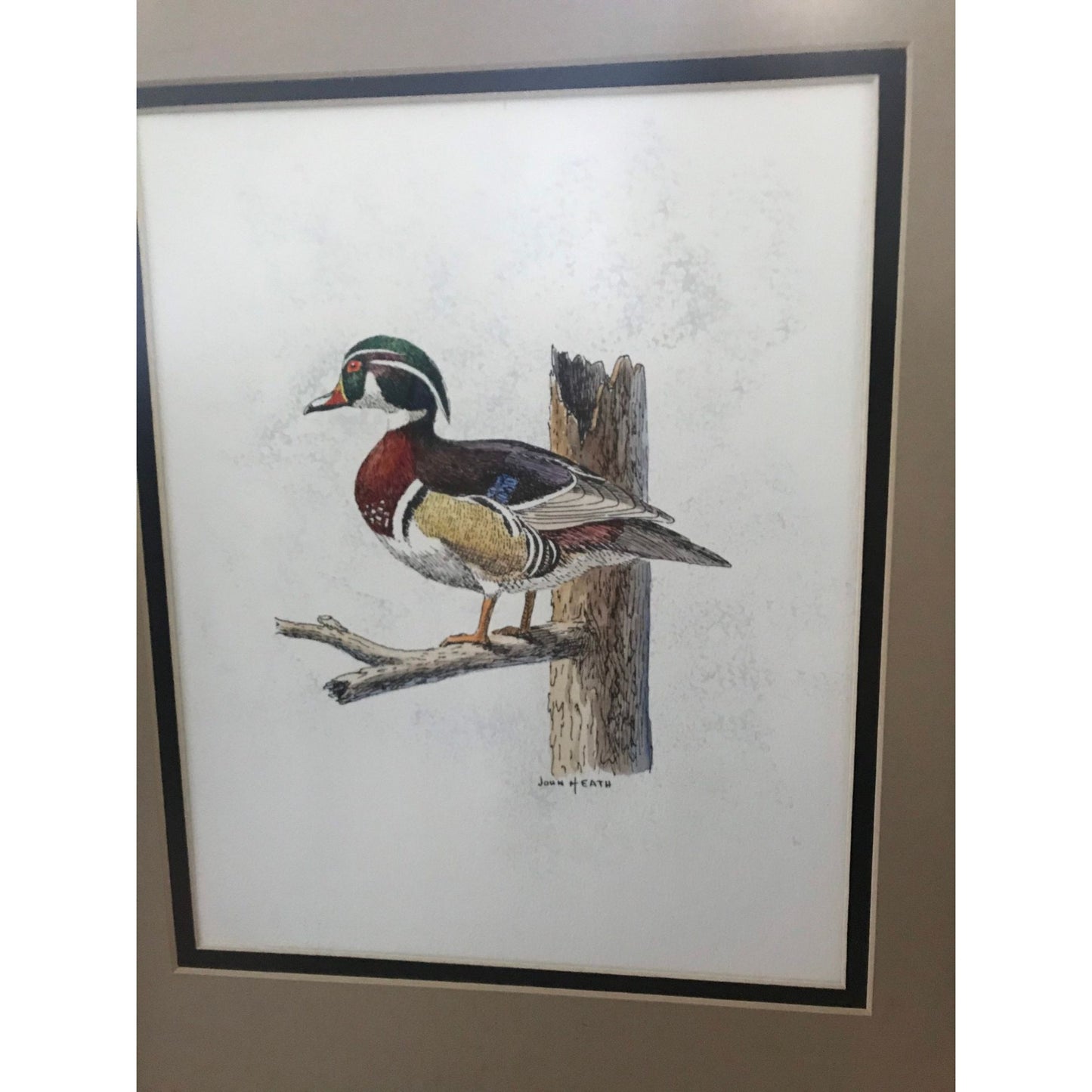 Vtg John Heath Michigan Artist "Wood Duck" Framed 1970's