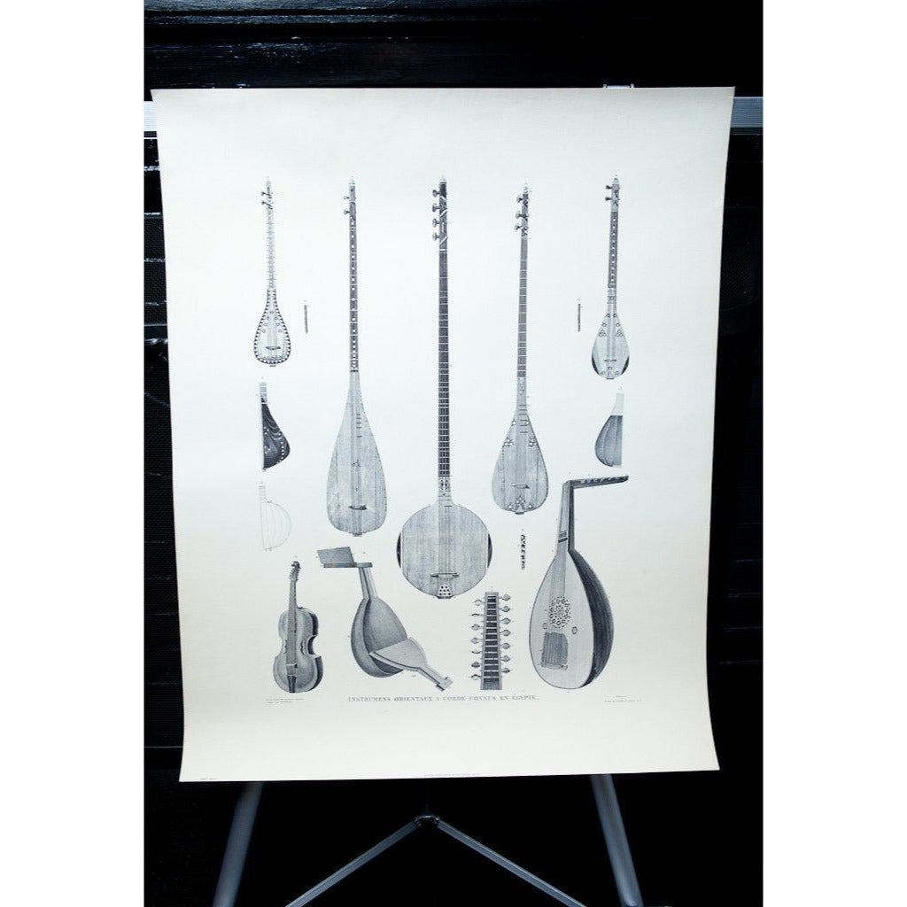 1961 Poster Eastern Known String Instruments From Egypt Series SZL III Lucas Vintage