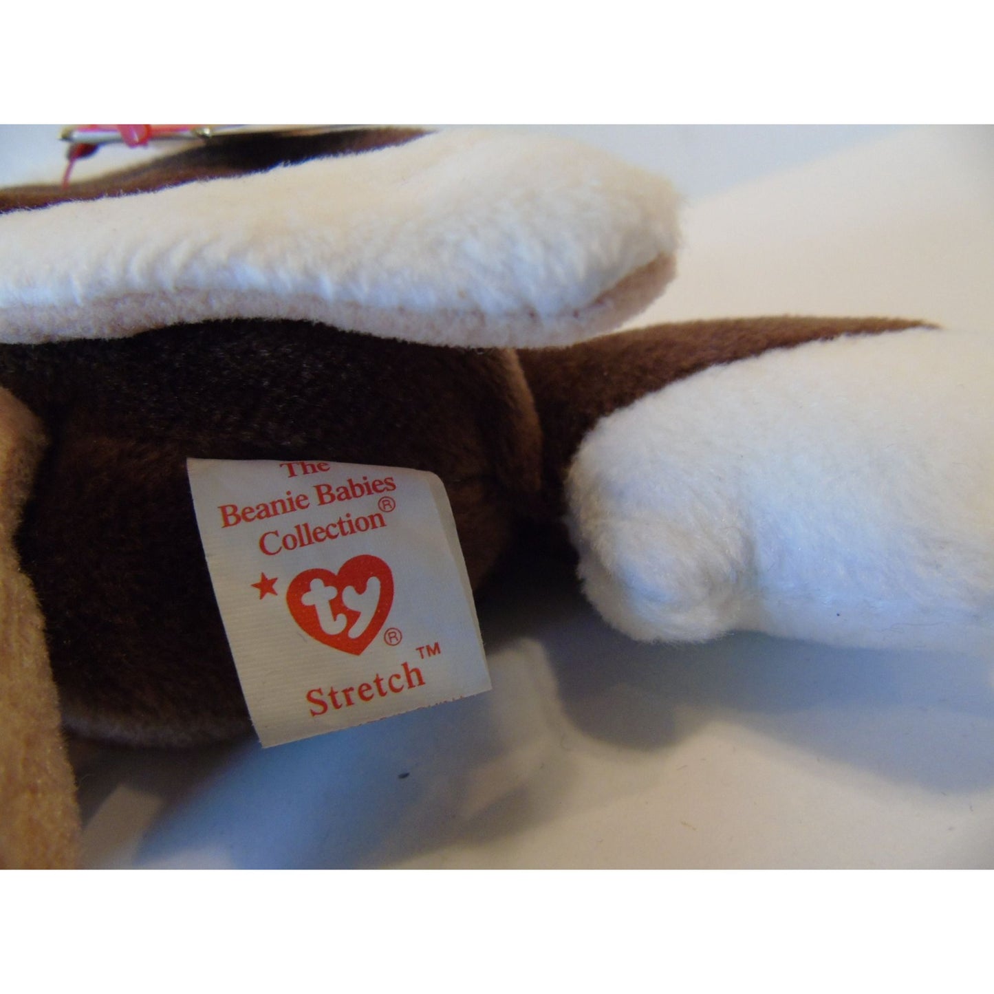 Ty Beanie Babies Stretch The Ostrich Birth Date September 21, 1997 No Style Number