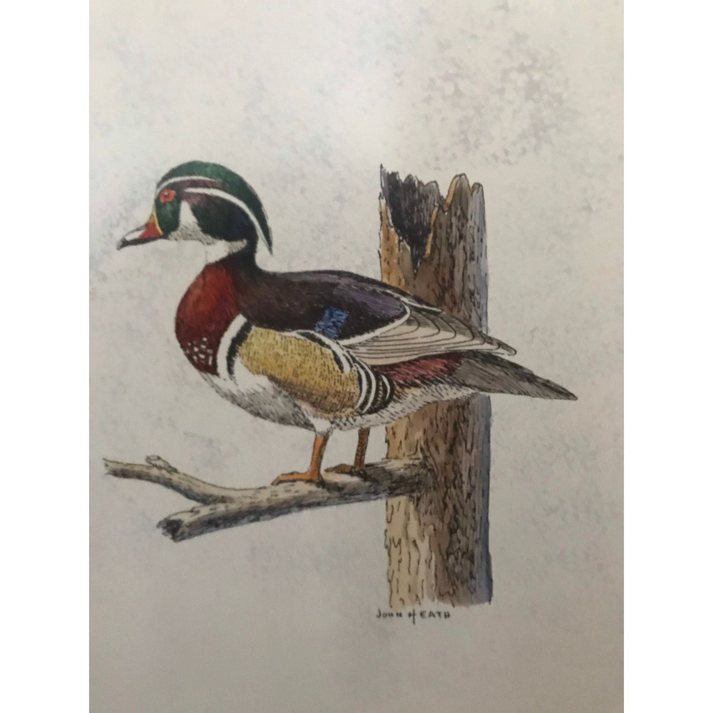 Vtg John Heath Michigan Artist "Wood Duck" Framed 1970's