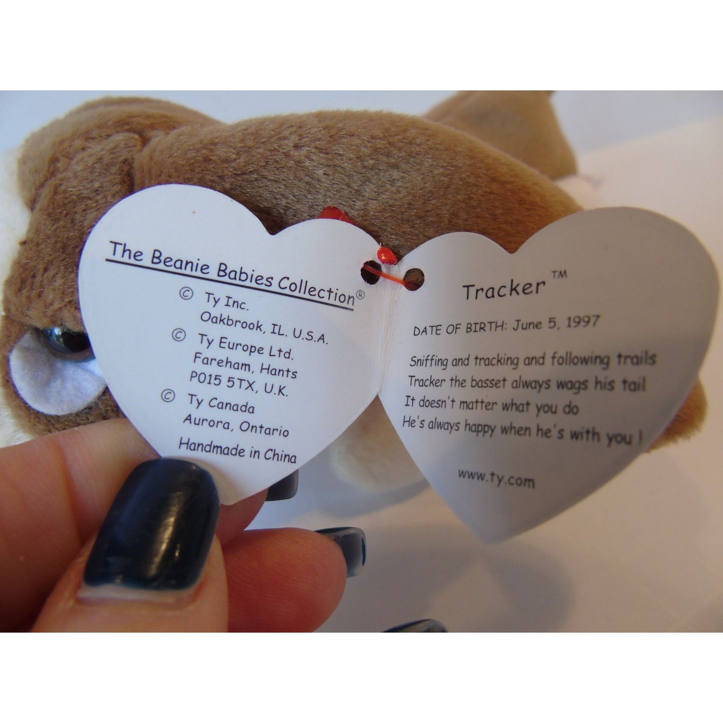 Ty Beanie Babies Tracker The Dog New With Tag 6-15-97